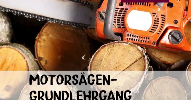 Motorsägen-Grundlehrgang