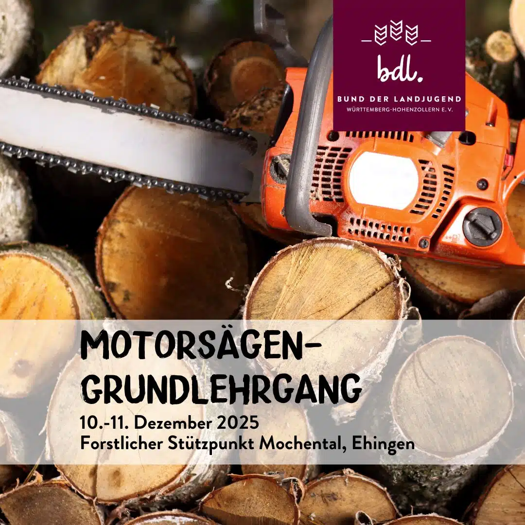 Motorsägen-Grundlehrgang