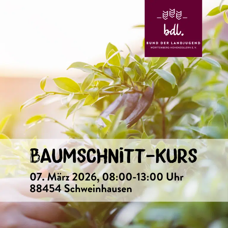 Baumschnitt-Kurs