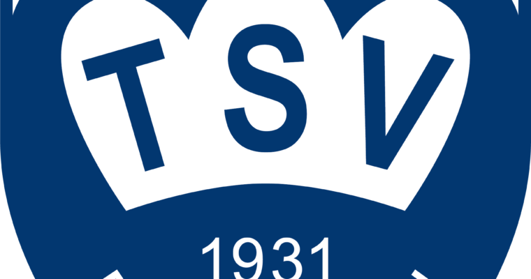 TSV Volleyball Hobbyturnier