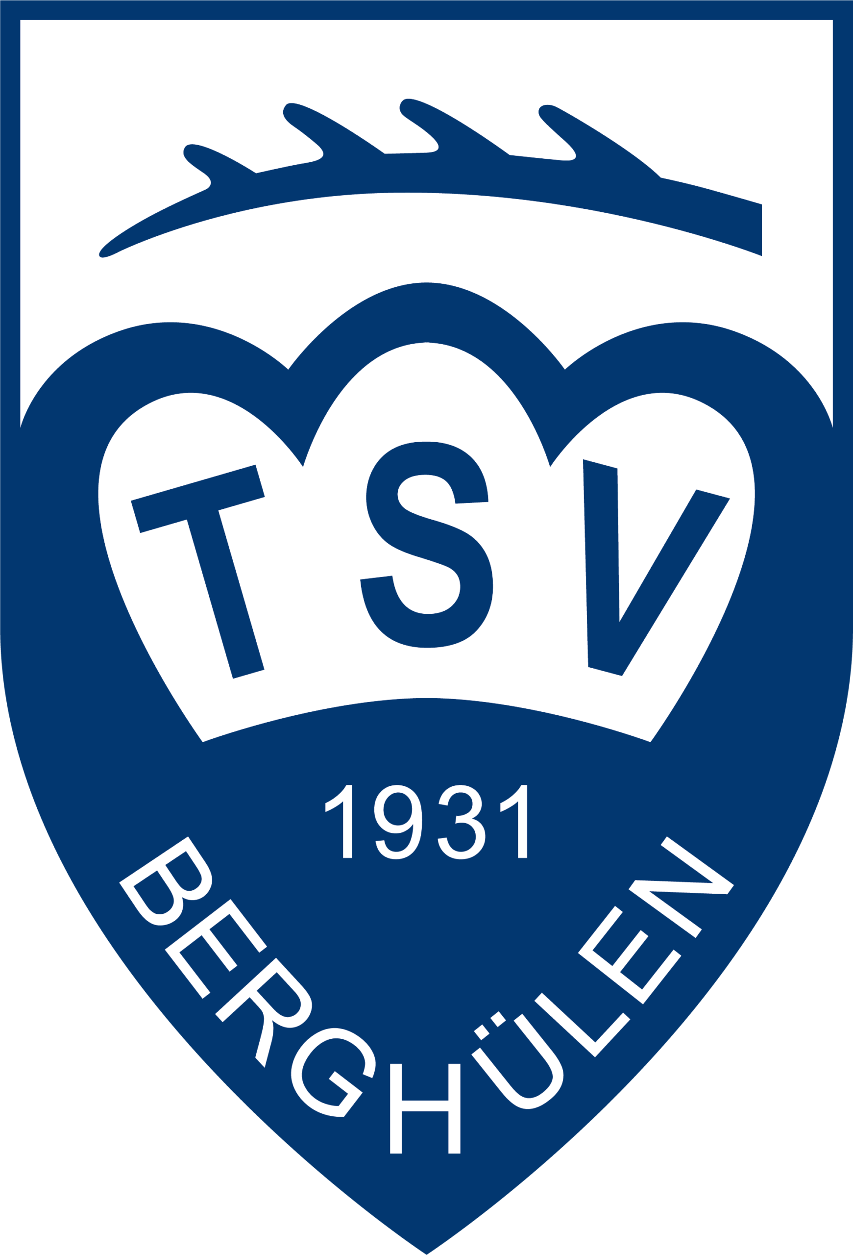 TSV Volleyball Hobbyturnier