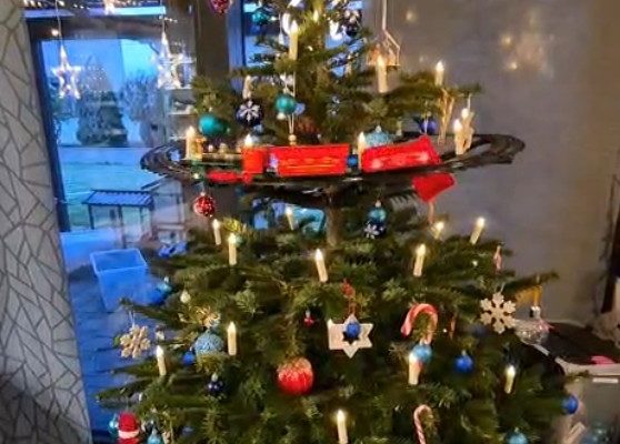 Christbaum loben
